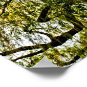 hoop in het voorjaar gedempt poster (Hoek)