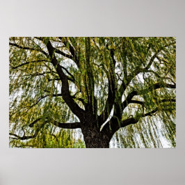 hoop in het voorjaar gedempt poster