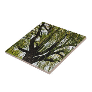 hoop in het voorjaar gedempt tegeltje