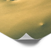 Hoop is het ding met veren poster (Hoek)