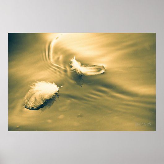 Hoop is het ding met veren poster (Voorkant)