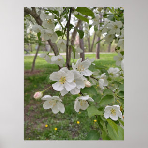 Hoop is nabij poster