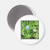 Hoop Magneet (Voorkant / Achterkant)