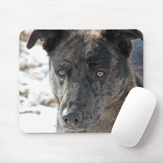 Hoop Muismat (Met muis)