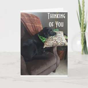 HOOP U BETER VOELT KAART