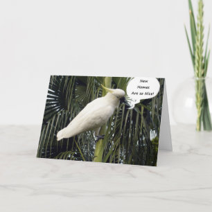 HOOP UW NIEUWE HUIS COMFY=CONGRATULALALATION IS KAART