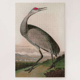 Hooping Crane Birds of America Audubon Print Legpuzzel