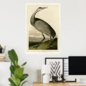 Hooping Crane Poster (Thuiskantoor)