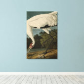 Hooping (Whooping) Crane, Audubon Birds of America Canvas Afdruk (Insitu (Houten vloer))