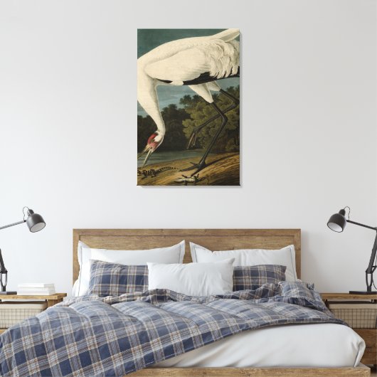 Hooping (Whooping) Crane, Audubon Birds of America Canvas Afdruk (Insitu (Slaapkamer))