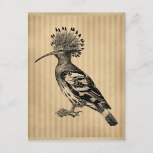 Hoopoe Bird Briefkaart