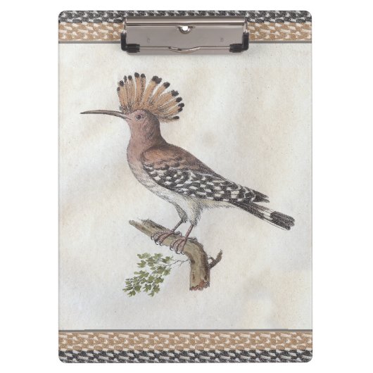 Hoopoe Engraving Klembord (Voorkant)