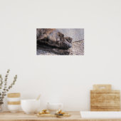 Hoopvol voor een eeuwig huis poster (Keuken)