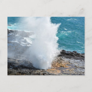 Hoorn in Kauai, Hawaii Briefkaart