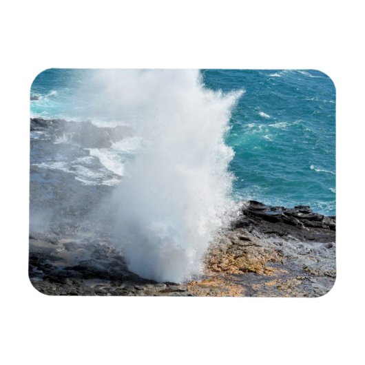 Hoorn in Kauai, Hawaii Magneet (Horizontaal)