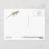 hoornkop briefkaart (Achterkant)