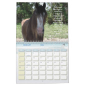 HOORZESISTERS CALENDAR 2010 KALENDER (Feb 2026)