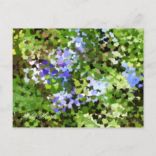 HOORZITTEN BRIEFKAART