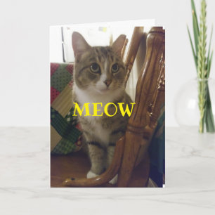 HOORZITTING IS NU *60* BETER DAN EEN MUIS!  KAART