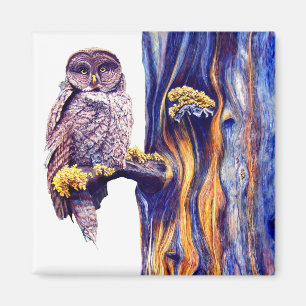 Hoo's Look'n Magnet Magneet