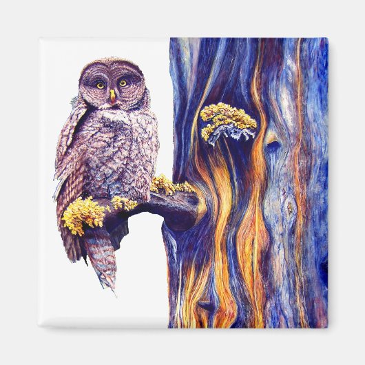 Hoo's Look'n Magnet Magneet (Voorkant)