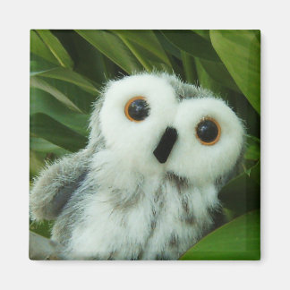 Hoot Hoot! Magneet