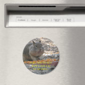 Hoover Eekhoorn Magnet Magneet (Insitu (Vaatwasser))