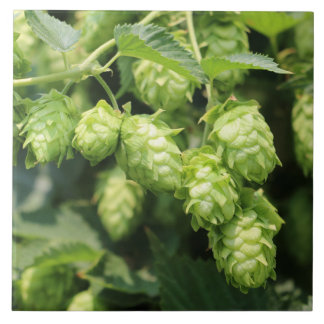 Hop Art (Wild Hops for the Hop Lover!) fototegel Tegeltje