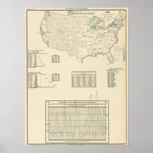 Hop Poster (Voorkant)