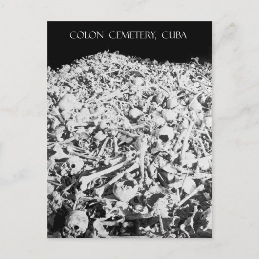 Hop van Botten op het kerkhof van Colon in Cuba Briefkaart (Voorkant)