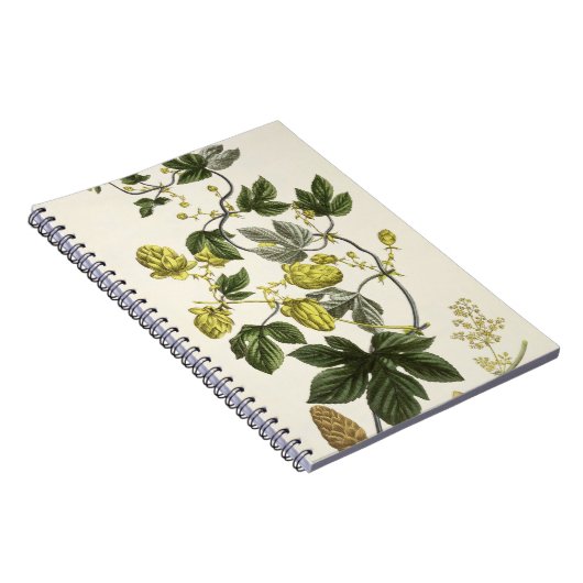 Hop Vine, van 'The Young Landsman', publiceerde Vi Notitieboek (Rechterzijde)