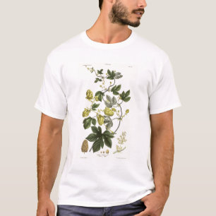 Hop Vine, van 'The Young Landsman', publiceerde Vi T-shirt