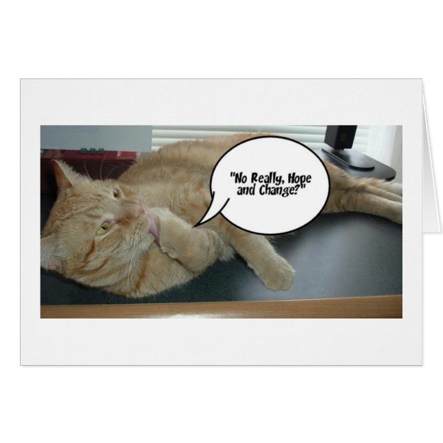 Hope and Change/Cat Humor (Voorkant Horizontaal)