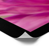 Hope Blooms Pink Gerber Daisy Poster (Hoek)