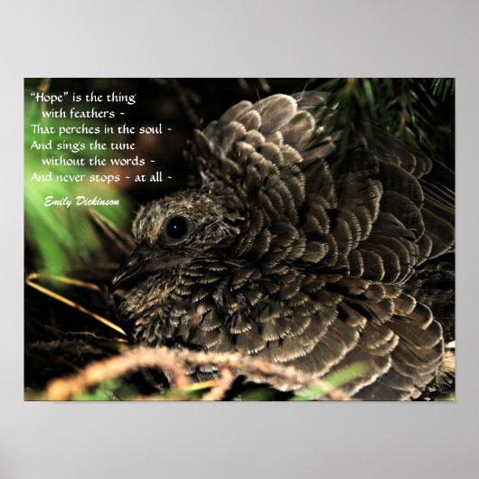 "Hope" est la chose avec plumes Poster (Devant)