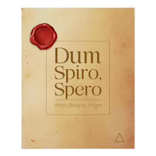 Hope Latin Quote Perfect Poster (Voorkant)
