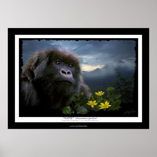 "HOPE" Mountain Gorilla Africa Wildlife Art Poster (Devant)