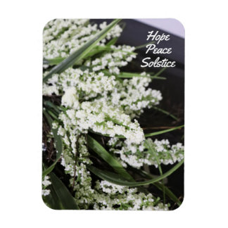 Hope Peace Solstice Magnet Magneet