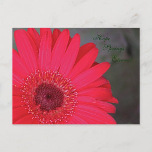 Hope Springs Eternal Briefkaart