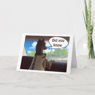 HOPE UW CHRISTMAS IS "ZO SPECIAAL ALS U" FEESTDAGEN KAART