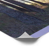 Hope Will Shine Its Light Poster (Coin)