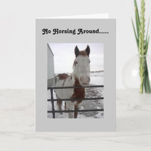Hopelijk kan ik rond de 40e paard kaart