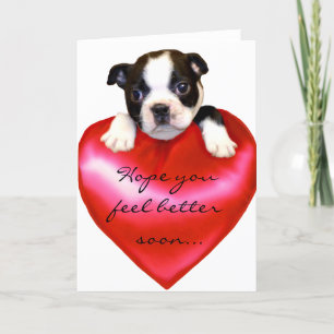 Hopelijk voel je je beter Boston Terrier Wenskaart Kaart