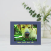 Hopelijk voel je je snel beter! briefkaart (Staand voorkant)