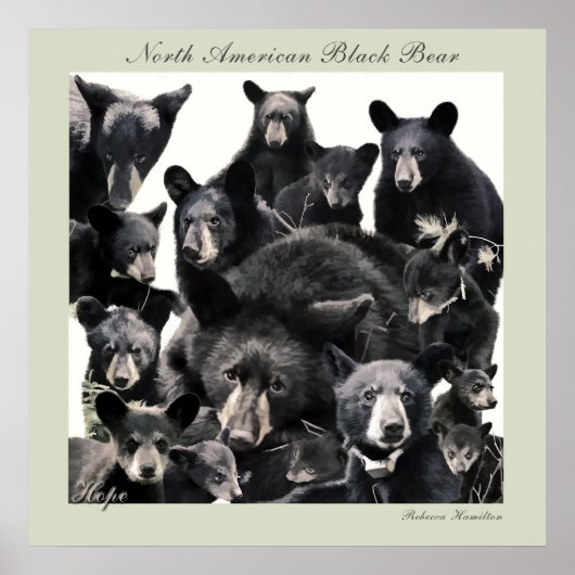 Hope's LIfe Poster (Voorkant)