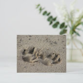 Hope's Pawprints in de zand Briefkaart (Staand voorkant)