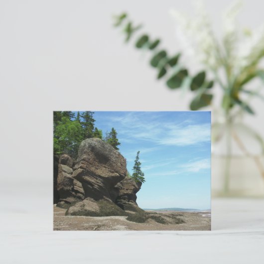 Hopewell Rocks Briefkaart (Staand voorkant)