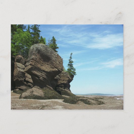 Hopewell Rocks Briefkaart (Voorkant)