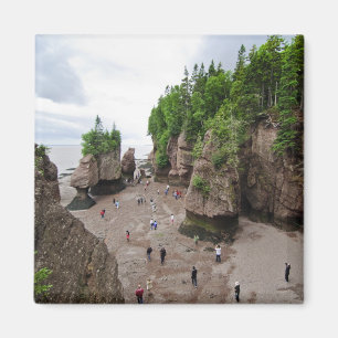 Hopewell Rocks Low Tide Canada Magnet