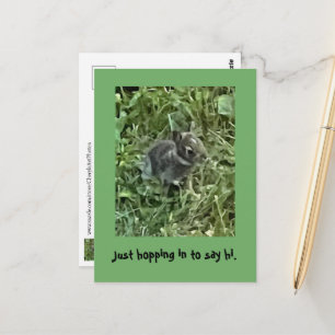 Hoppen in om te zeggen Hallo, Baby konijntje konij Briefkaart